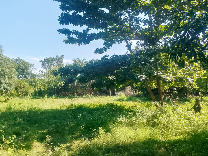 Midsayap, Cotabato